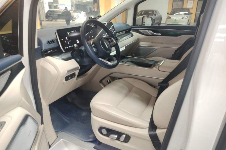 Used Wey Gaoshan 2023 Four-Wheel Drive Flagship Edition Left Front Seat