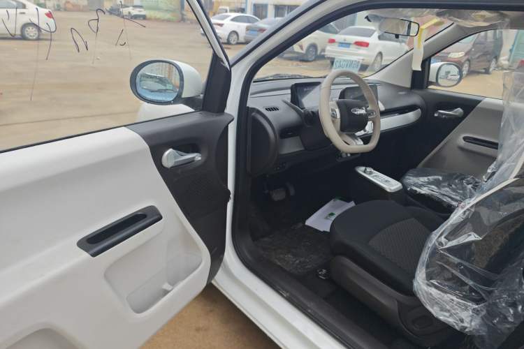 Used Qiyuan Lumin 2026 Model Treasure Edition 205km Beloved Beige Guoxuan
