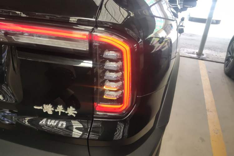 Used Haval DARGO 2024 2.0T DCT Chinese Rural Dog Edition
