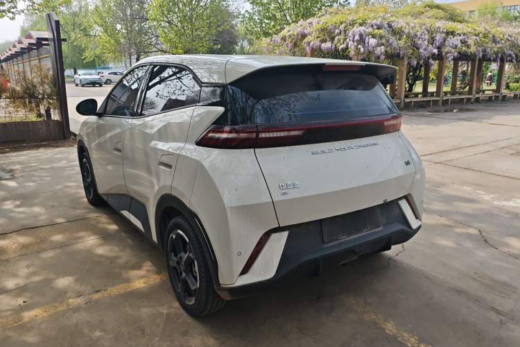 Used BYD Seagull 2023 Flying Edition Rear Left 45 Deg