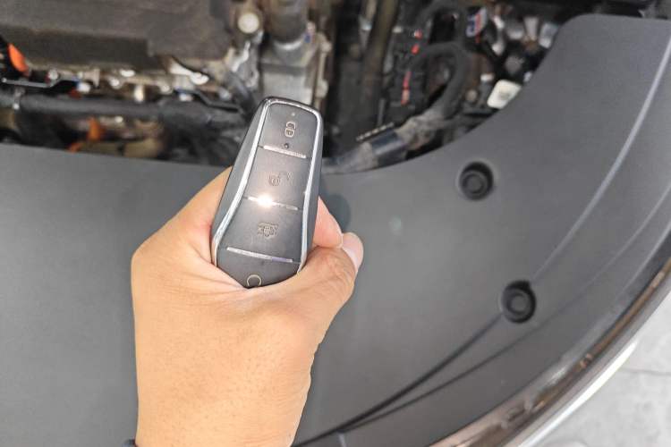 Used BYD Destroyer 05 2023 Champion Edition DM-i 120KM Prestige Model
