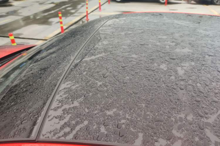 Used Audi RS 5 2020 RS 5 2.9T Coupe