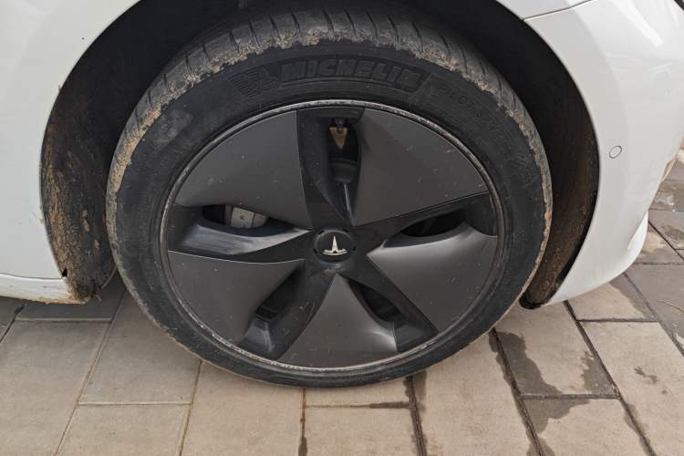 Used Tesla Model 3 (Import) 2019 Long-Range Rear-Wheel-Drive Version
