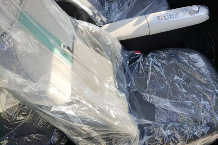 Used Qiyuan Lumin 2025 205 km Xiangqin Version
