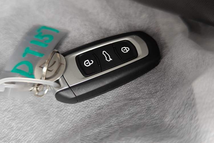 Used Geely Galaxy Panda 2024 Panda Mini 200km Endurance Bear Vehicle Key