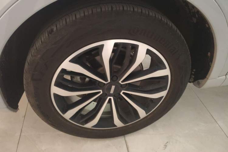 Used Wey Mocha 2021 2.0T Four-Wheel Drive Premium Edition
