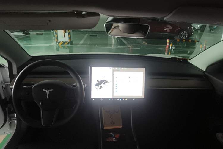 Used Tesla Model 3 2020 Revised Version Standard Range Rear-Wheel Drive – Upgraded Edition
