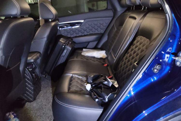 Used Venucia Star 2020 260T Automatic 48V Mild Hybrid Turbocharged Starry Edition Left Rear Seat