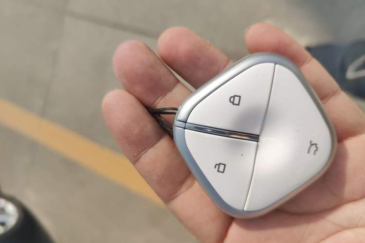 Used Qiyuan Lumin 2022 155 km – Refreshingly Sweet Edition