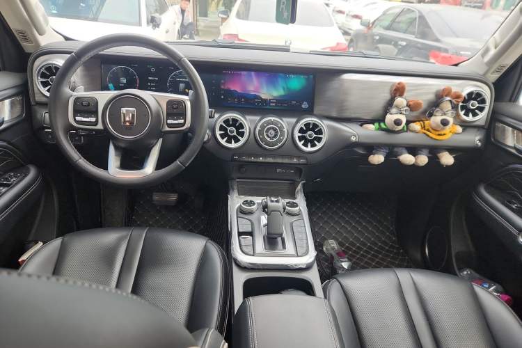 Used Tank 300 2024 2.0T Conqueror
