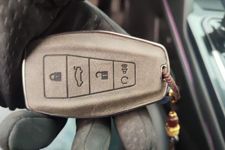 Used Geely Auto Monjaro L 2021 2.0TD DCT EVO Two-Wheel Drive Prestige Version