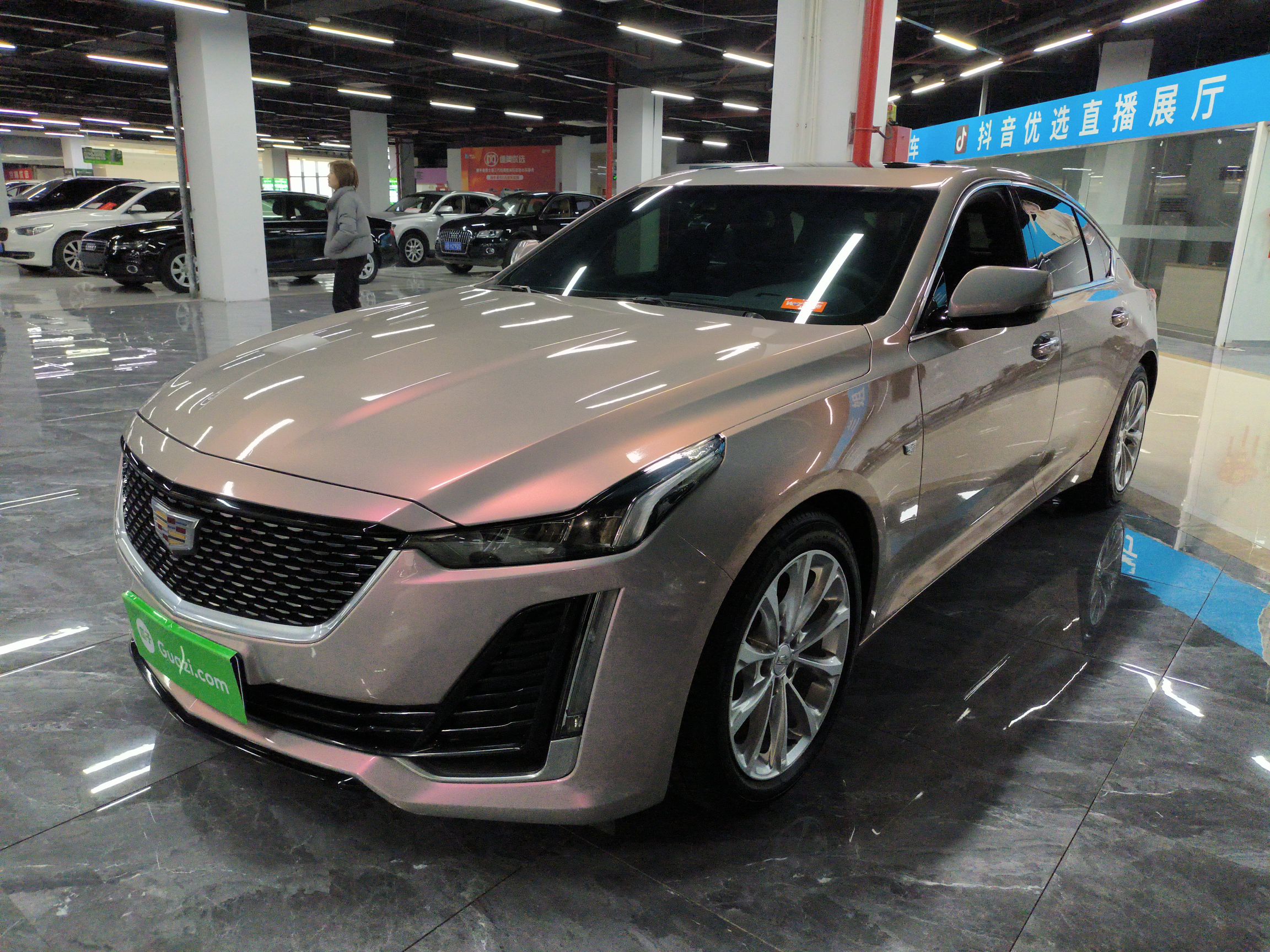 Parte inferior delantera