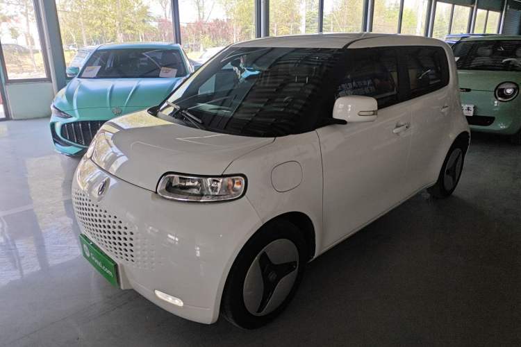 Used ORA White Cat 2020 360km Standard Version