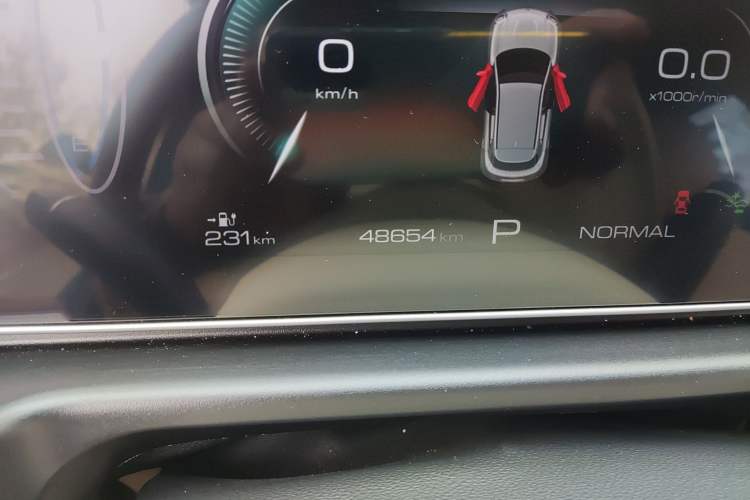 Used ORA Good Cat 2023 401 km Standard Range Luxury Version Lithium Iron Phosphate Odometer Close Up