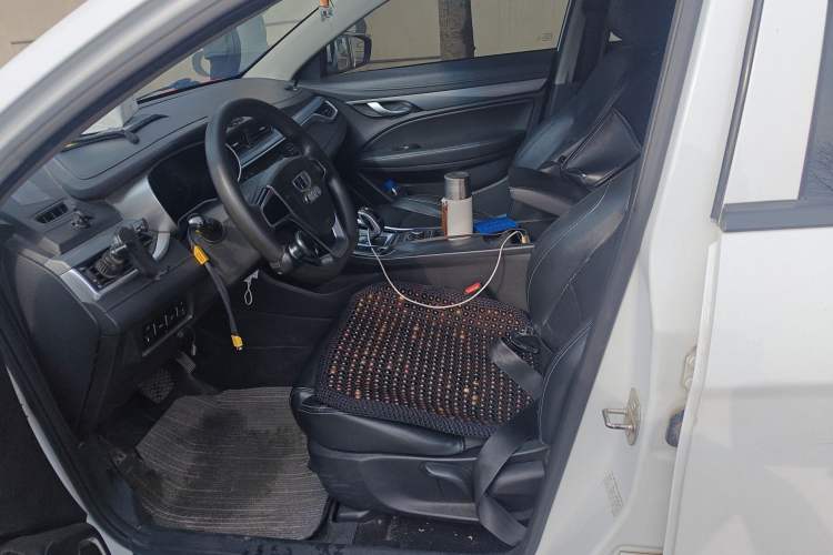 Used Geely Auto Emgrand New Energy 2018 EV450 Ambition Model Left Front Seat