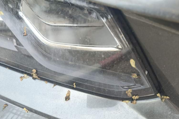 Used Geely Auto Coolray 2021 1.4T Manual Gold Edition