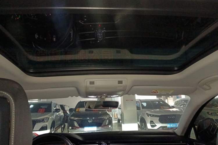 Used Volkswagen Magotan 2020 330TSI DSG Luxury Edition Headliner