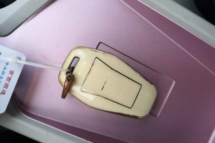 Used SOL E10X 2022 Flower Fairy Design Sunflower Interior 1