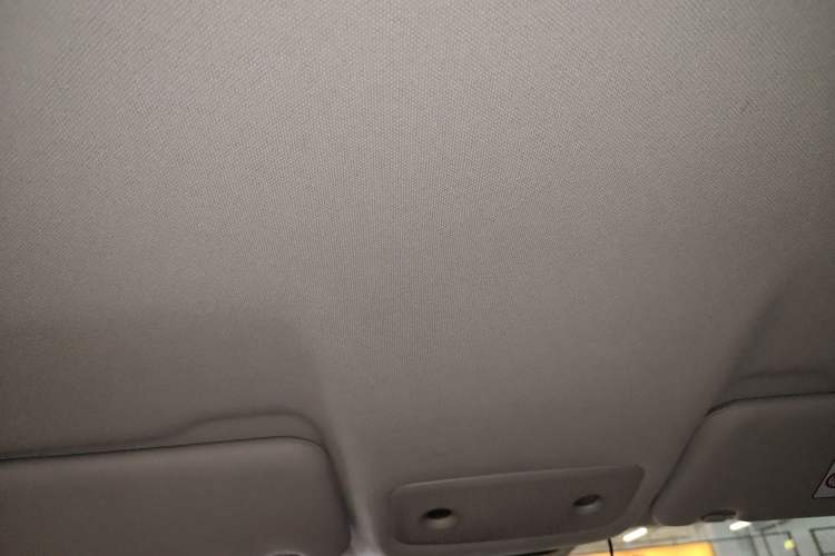 Used Leapmotor T03 2021 400 Lite Edition Lithium Iron Phosphate Headliner