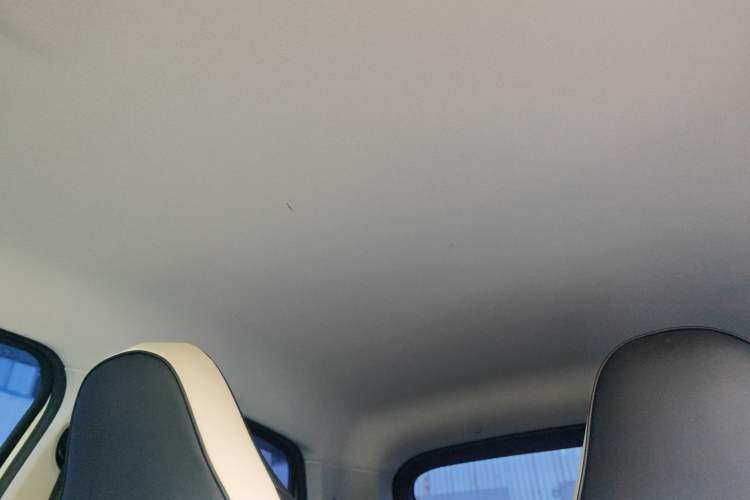 Used Leapmotor T03 2023 200 Lite Edition Headliner