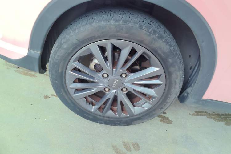 Used NETA V 2021 Witch Edition