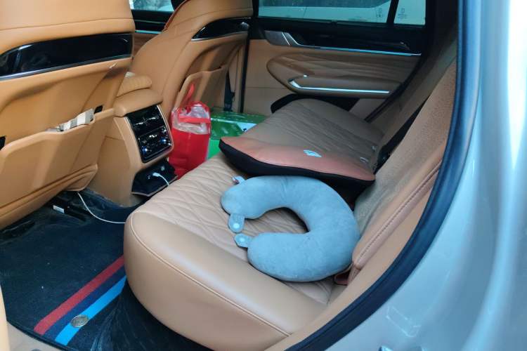 Used Tank 500 New Energy 2024 Hi4-T