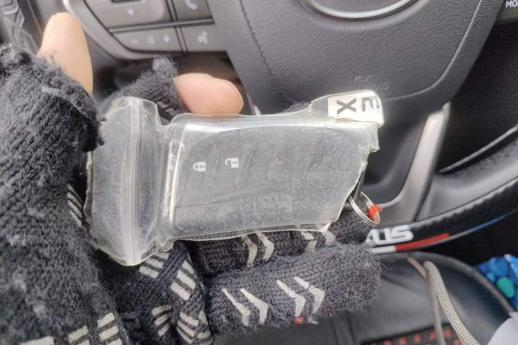 Used Lexus NX 2024 260 Front-Wheel Drive Chuanchi Edition