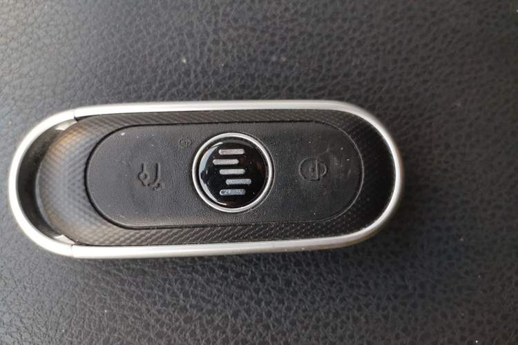 Used WM Motor EX5 2019 EX5 Lite Exploration Edition 400