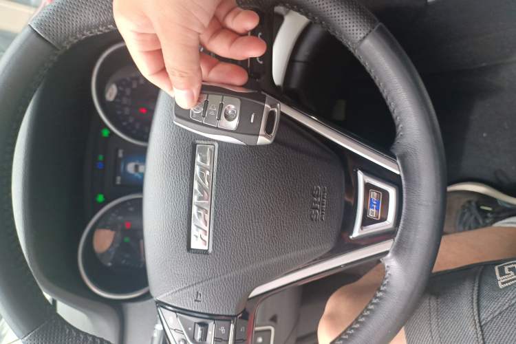 Used Haval H6 Coupe 2016 Blue Label 1.5T Manual Two-Wheel Drive Urban Model