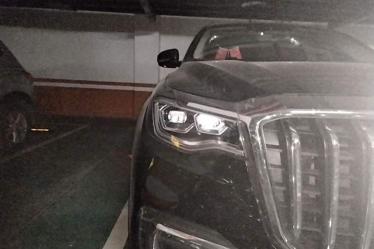 Used Hongqi HS7 2022 2.0T DCT Two-Wheel Drive Smart Connect Flagship Edition Seven Seats
