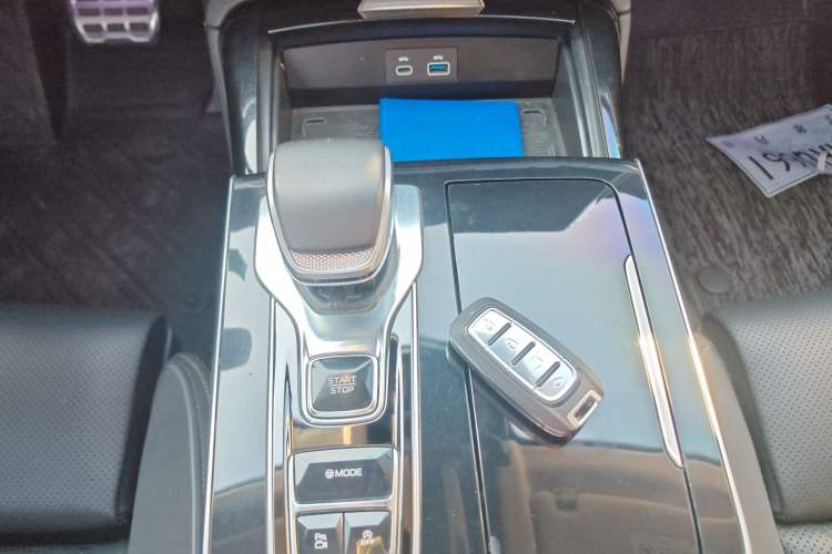 Used Hongqi H9 2024 2.0T Qixiang Private Style Edition