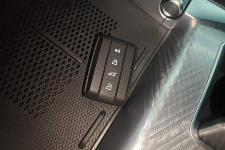 Used Tank 700 New Energy 2024 Hi4-T Extreme Edition Interior 1