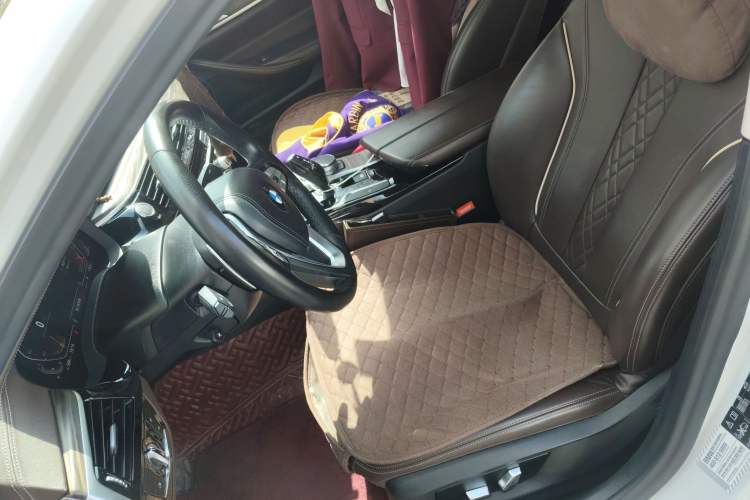 Used BMW 5 Series 2020 530Li xDrive Luxury Package