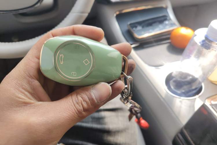 Used Leapmotor C11 2021 Deluxe Edition Vehicle Key