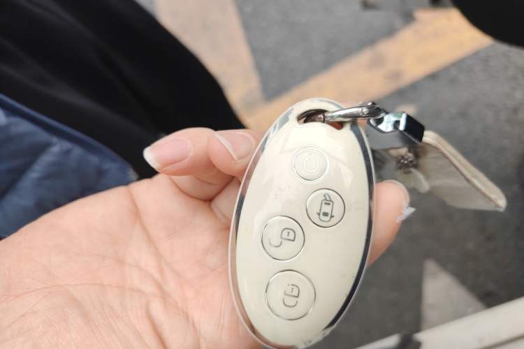 Used BYD Qin New Energy 2017 1.5T Luxury Model