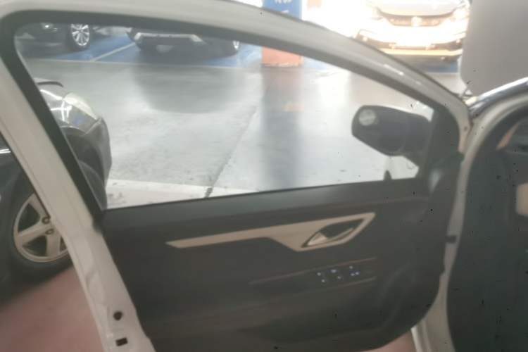 Used SOL E10X 2022 Flower Fairy Design Four-Leaf Clover