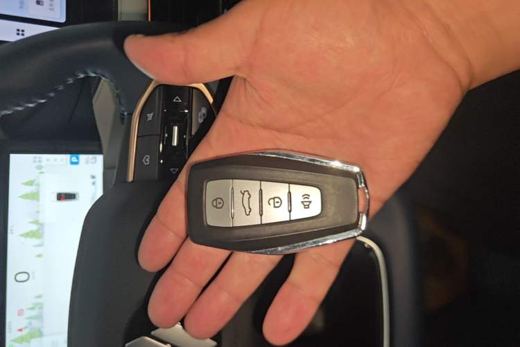 Used Livan 9 2023 470 km Executive Version
