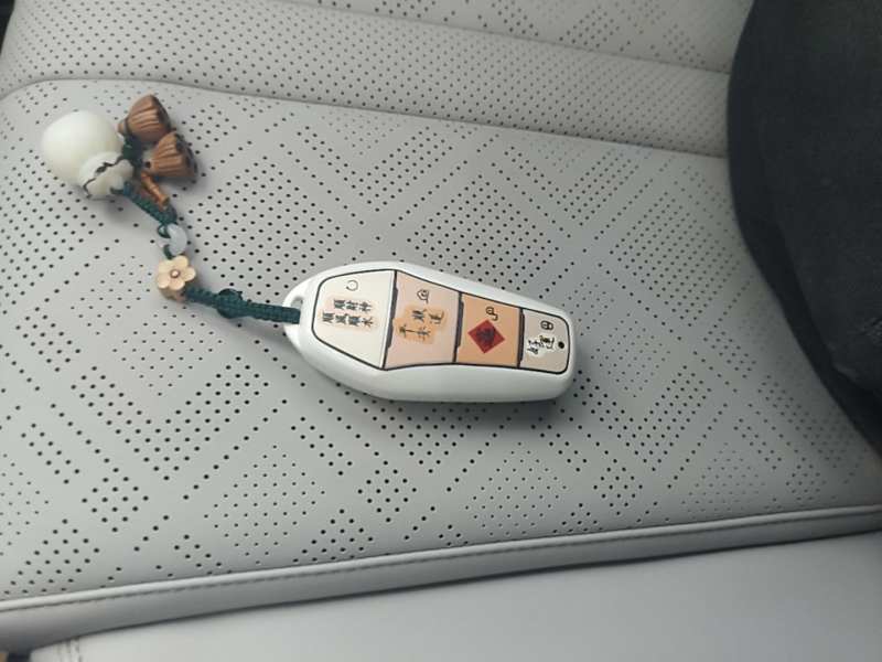 Used BYD Yuan UP 2025 Model 301KM Leading Version — 8