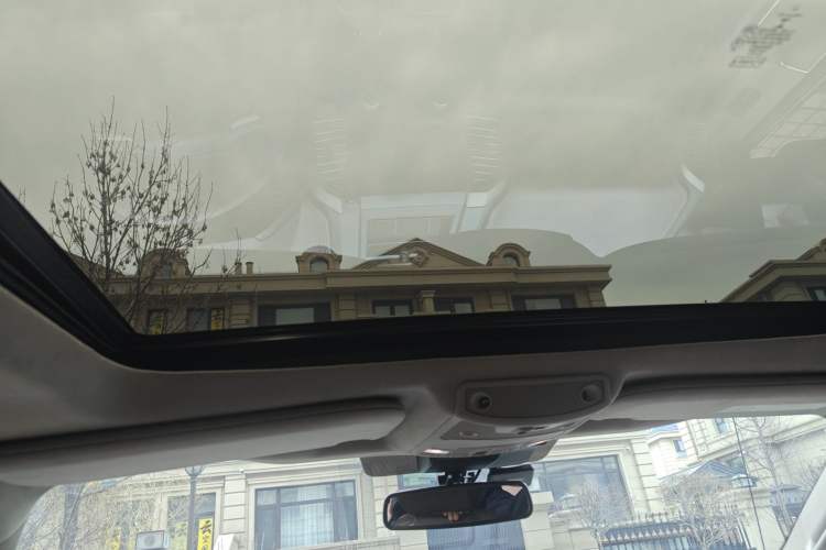 Used Ford F-150 Raptor 2019 3.5T LTD Headliner