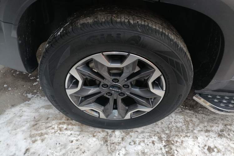 Used Haval DARGO 2024 2.0T DCT Chinese Rural Dog Edition