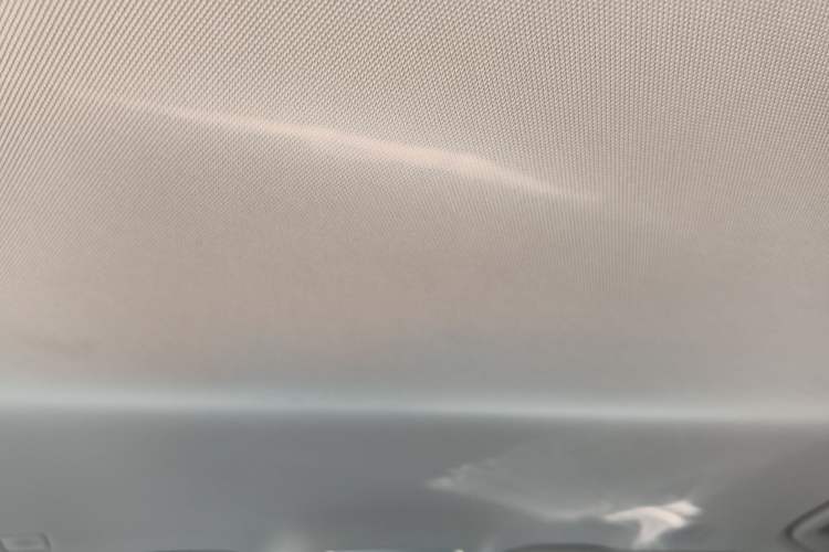 Used Hongqi HQ9 2023 2.0T Smart Connect Flagship Edition Headliner