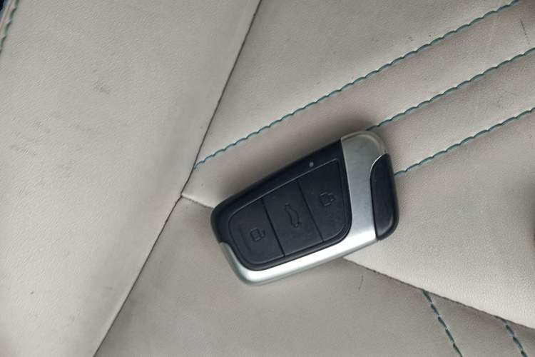 Used Chery New Energy Little Ant 2021 200 000-Yuan Ant Fan Edition Talent Version Lithium Iron Phosphate 301 km