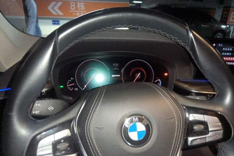 Used BMW 5 Series New Energy 2019 530Le Luxury Package