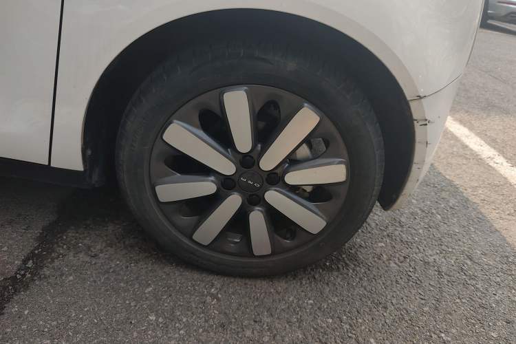 Used ORA Black Cat 2021 351 km Luxury Version