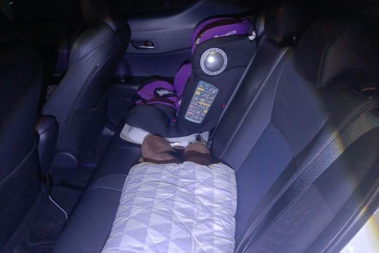 Used Toyota C-HR 2020 2.0L Luxury Edition