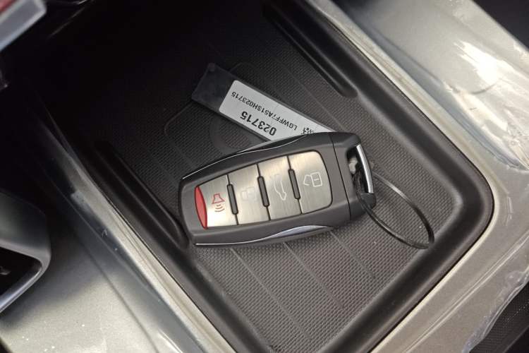 Used Haval DARGO 2024 2.0T DCT Chinese Rural Dog Edition
