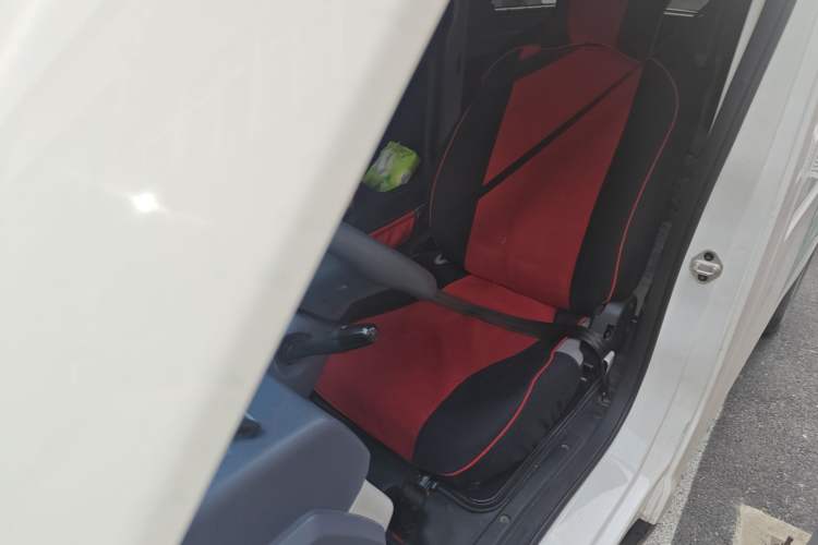 Used SRM New Energy E3 2025 Fudi 310KM Practical Passenger Vehicle Left Front Seat