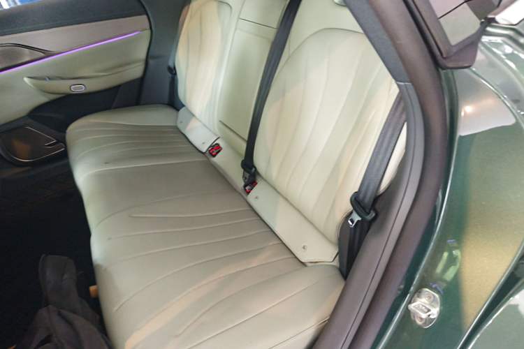 Used EXEED Star Era ES 2024 Max Long-Range Version Left Rear Seat