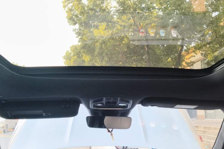 Used Geely Auto Monjaro L 2024 2.0TD High-Power Automatic Two-Wheel Drive Skyline Edition
