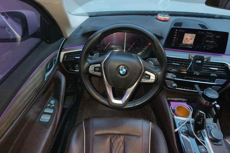 Used BMW 5 Series 2019 530Li Leading Model Luxury Package